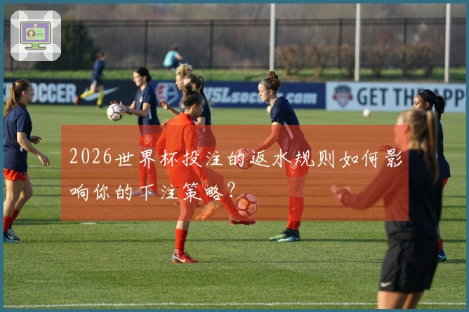 2026世界杯投注的返水规则如何影响你的下注策略？