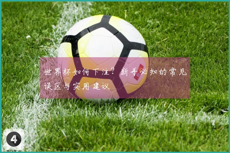 世界杯如何下注？新手必知的常见误区与实用建议