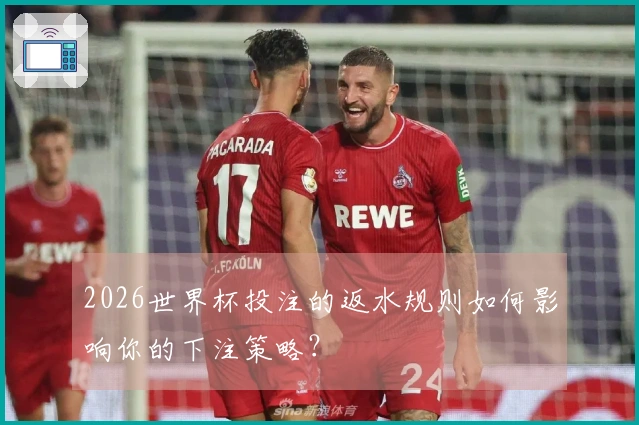 2026世界杯投注的返水规则如何影响你的下注策略？