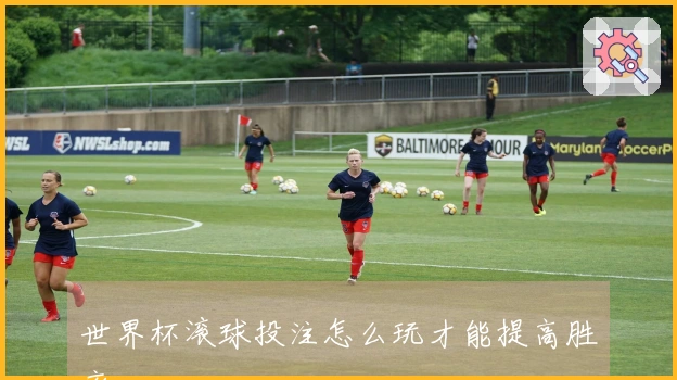 世界杯滚球投注怎么玩才能提高胜率