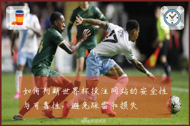 如何判断世界杯投注网站的安全性与可靠性，避免踩雷和损失