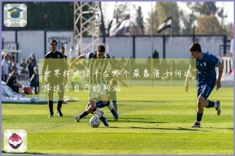 世界杯竞猜平台哪个最靠谱 如何选择适合自己的网站