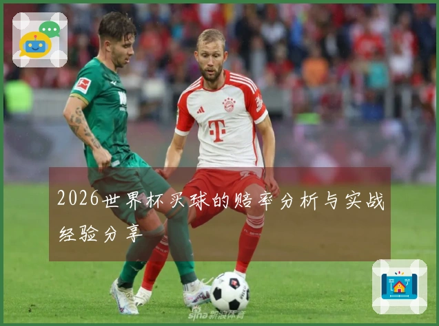 2026世界杯买球的赔率分析与实战经验分享