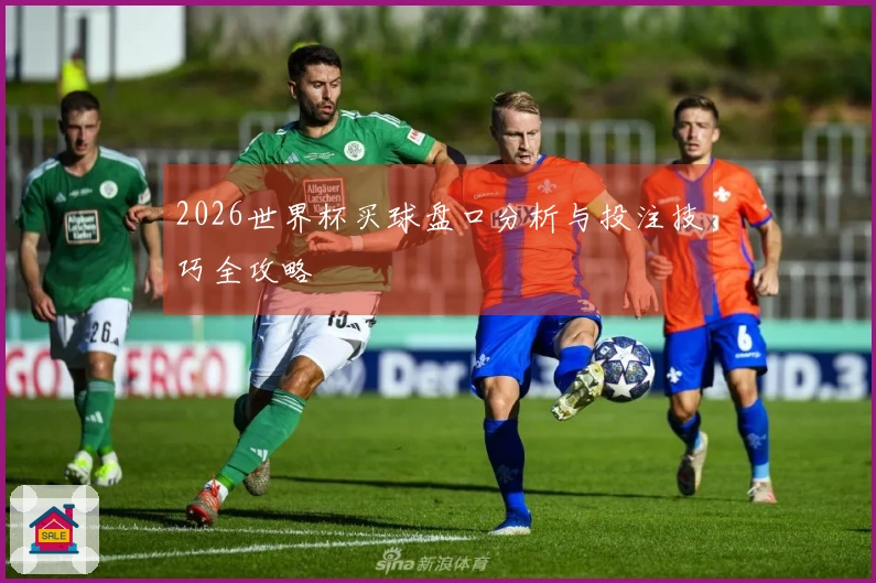 2026世界杯买球盘口分析与投注技巧全攻略