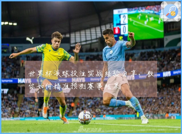 世界杯滚球投注实战经验分享，教你如何精准预测赛事结果