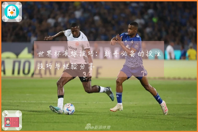 世界杯滚球技巧：新手必备的投注技巧与经验分享