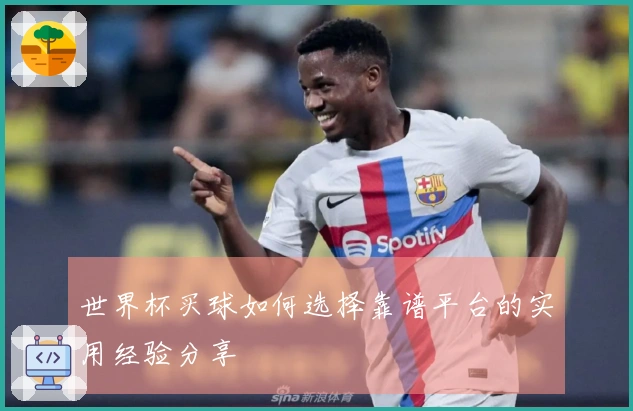 世界杯买球如何选择靠谱平台的实用经验分享