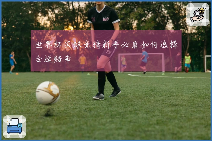 世界杯买球竞猜新手必看如何选择合适赔率