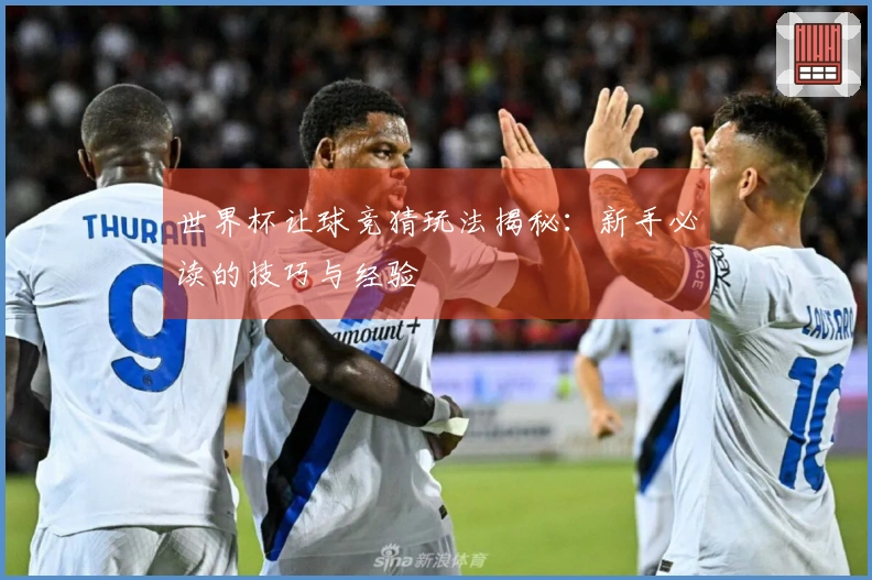 世界杯让球竞猜玩法揭秘：新手必读的技巧与经验