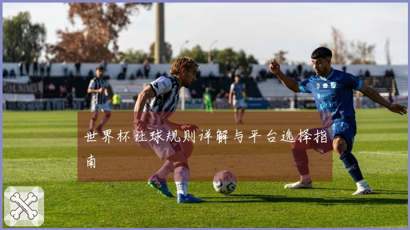 世界杯让球规则详解与平台选择指南