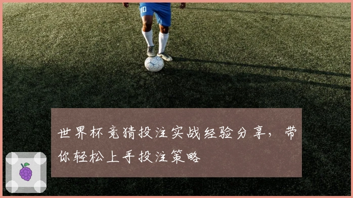 世界杯竞猜投注实战经验分享,带你轻松上手投注策略