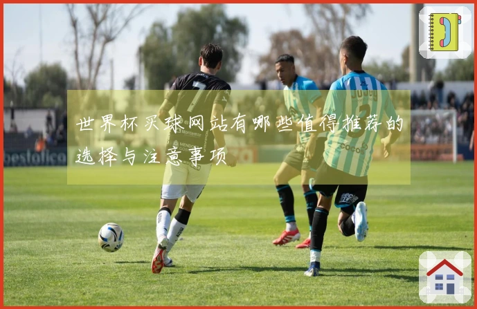 世界杯买球网站有哪些值得推荐的选择与注意事项