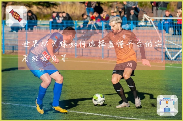 世界杯买球如何选择靠谱平台的实用经验分享