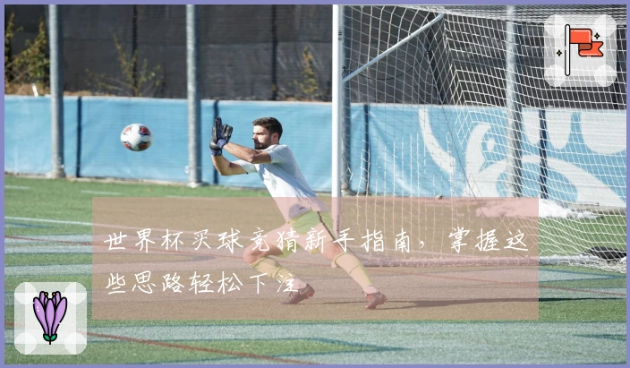 世界杯买球竞猜新手指南，掌握这些思路轻松下注