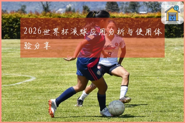2026世界杯滚球应用分析与使用体验分享